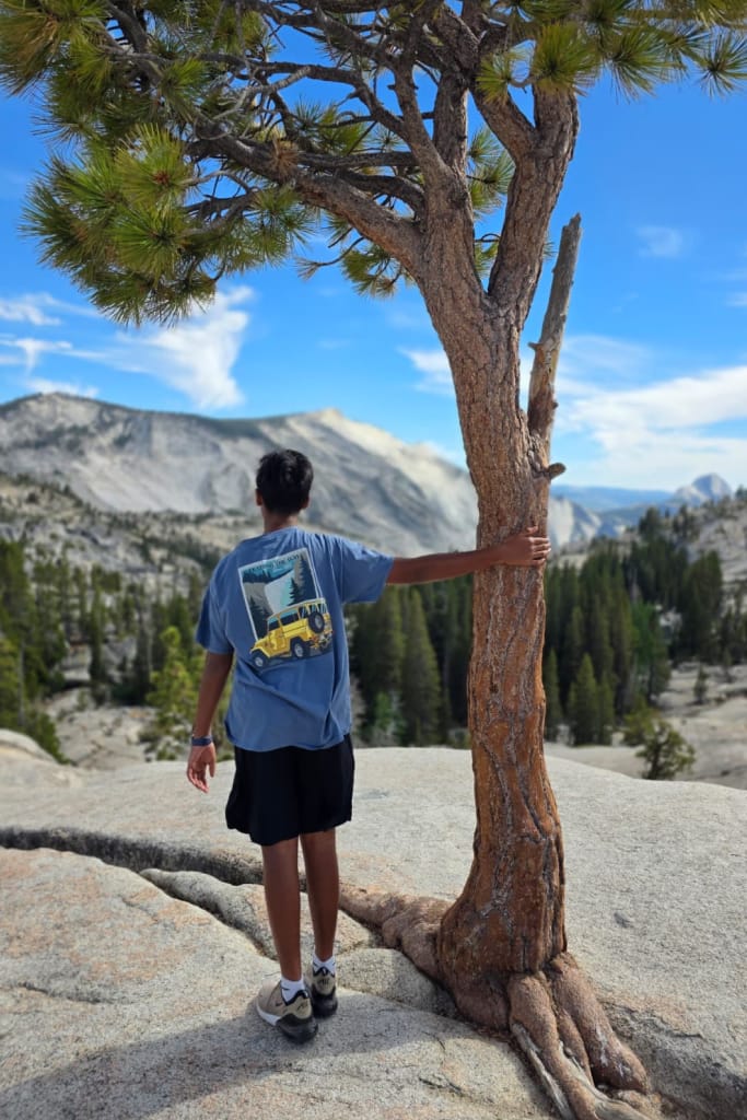 Services serviceframe 2