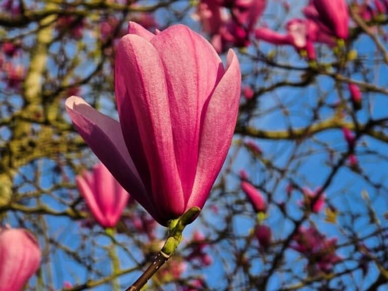 Instagram post from yourendlessframe. This post is in position 1.